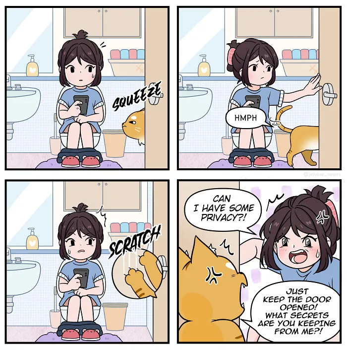 Toilet Rules