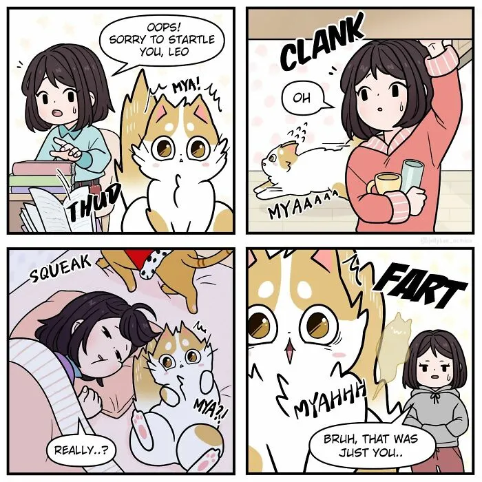 Scaredy Cat