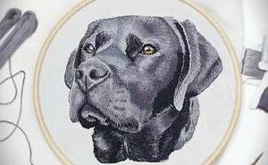 62 Lifelike Pet Portraits That I Create With The Help Of Embroidery