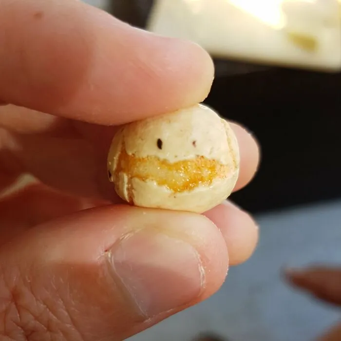 I Notice And Photograph Funny Examples Of Pareidolia In Everyday Objects (30 Pics)