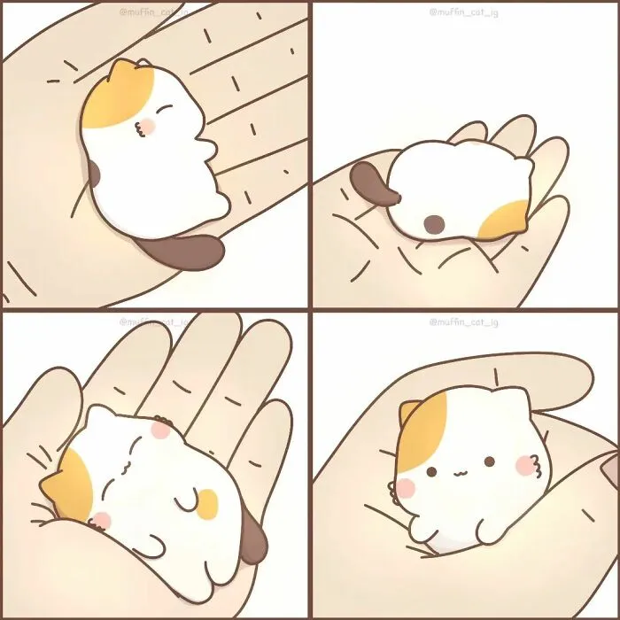Precious Little Calico Cat