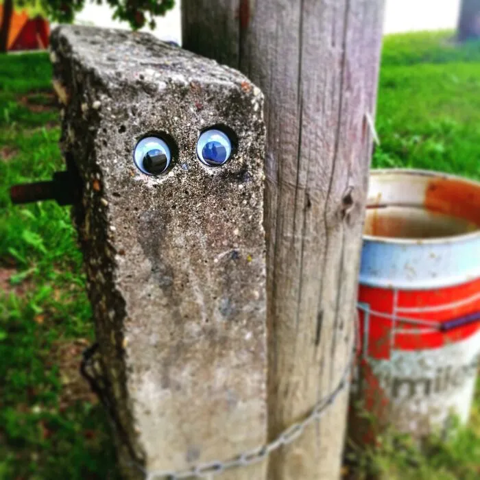 Hey, It's Tibor, From Szeged. I'm A Prisoner Because I've Stolen A Lot Of Short Drinks From The Local Pub