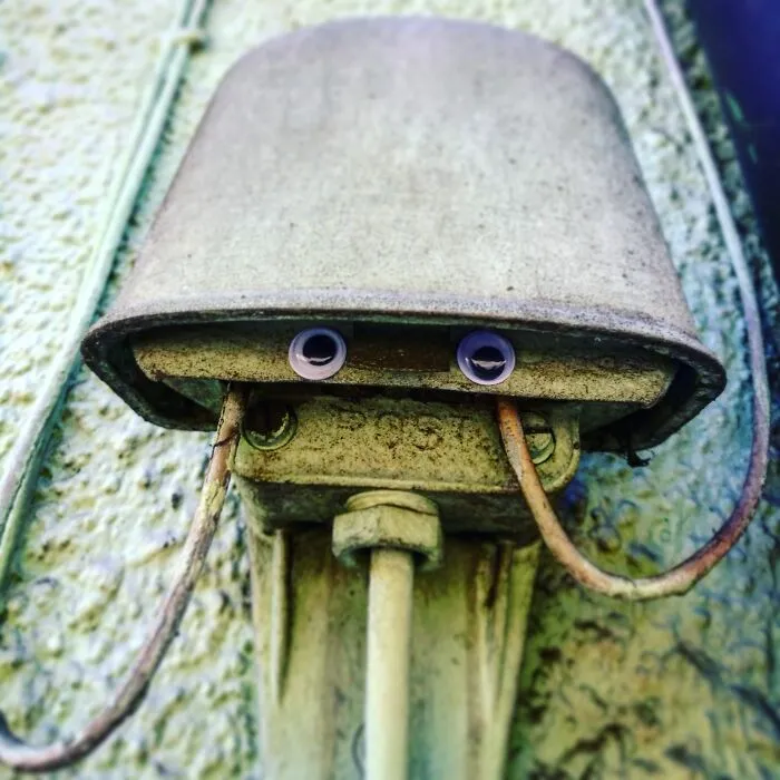 Hey, I'm Xaver From Bad Wildungen, Germany. Have You Ever Seen Any Deep Sea Creatures Outside The Sea? Now You Have! Do Not Tell Anyone!