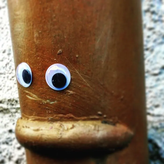 Hi, I'm Frida From Würzburg, Germany. I Really Hate Mondays. But On The Other Hand, There Are Only Five Days Left Till The Weekend