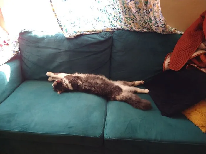 My Couch!