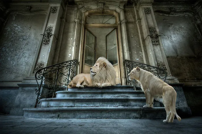 Making An Entrance