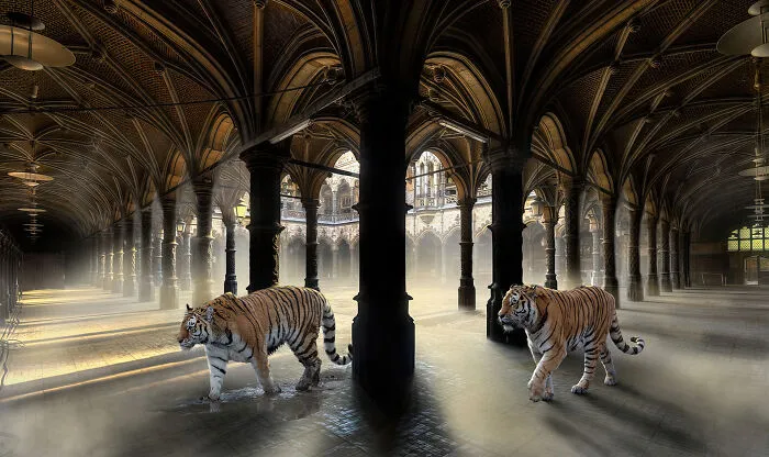 Earn Your Stripes