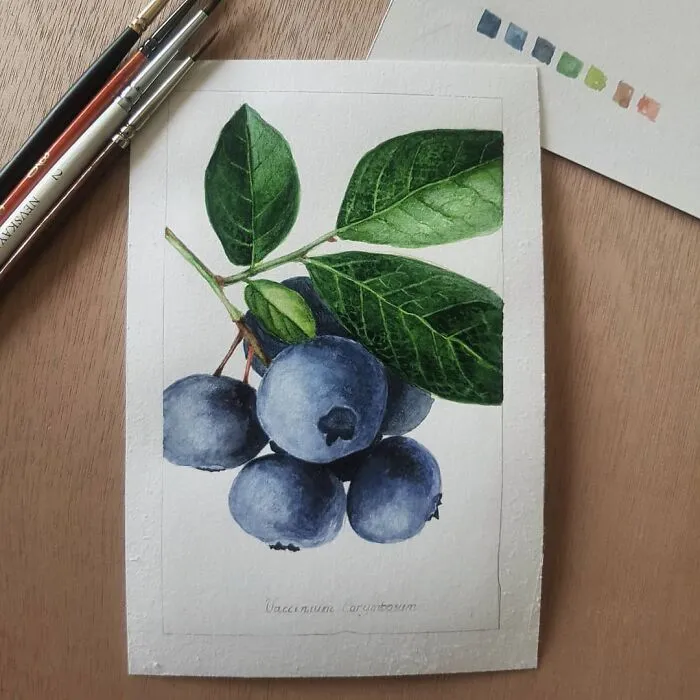 Blueberry