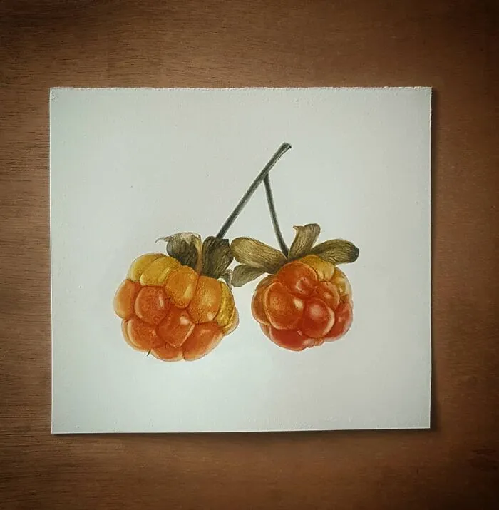 Cloudberry