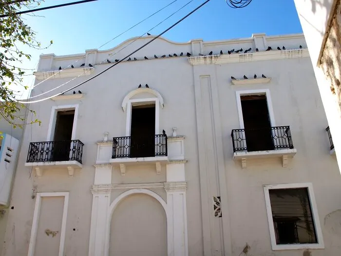 Pigeons Perched On The Facade Of A Colonial Building