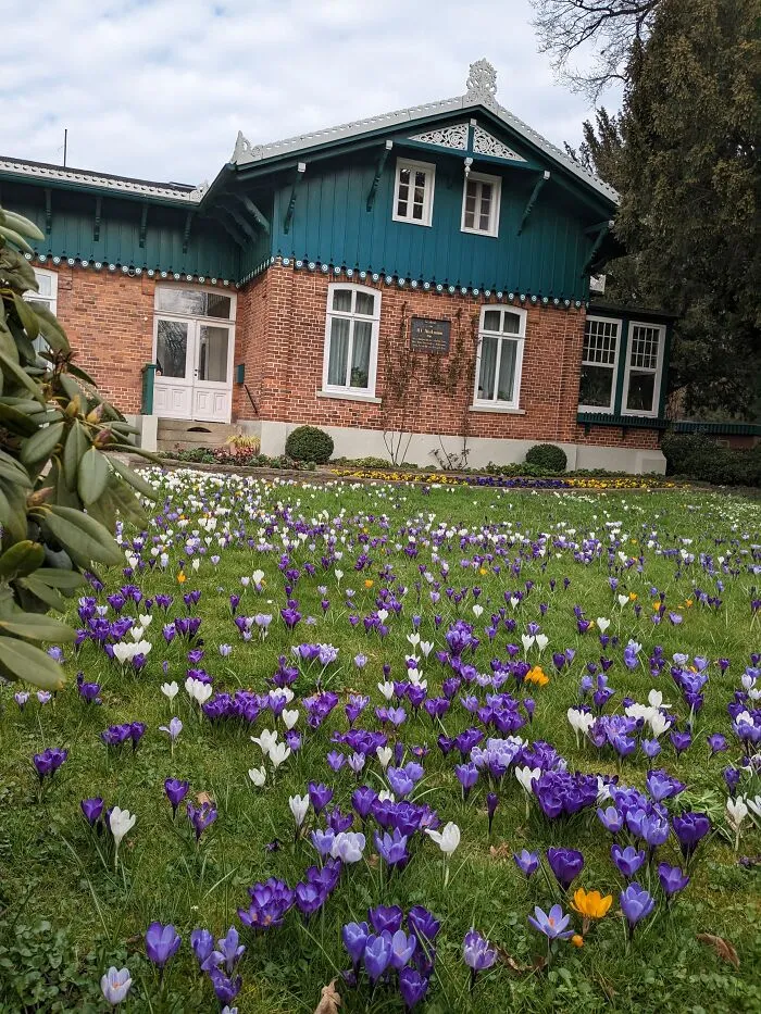 In Our City Park