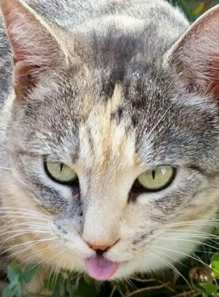 My Eyes Are Up Here