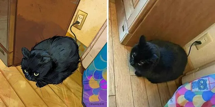 32 Of The Funniest Internet-Famous Cat Pics Get Illustrated By Catwheezie (New Pics)