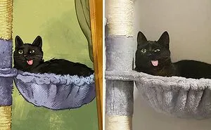 32 Of The Funniest Internet-Famous Cat Pics Get Illustrated By Catwheezie (New Pics)