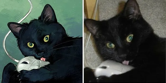 32 Of The Funniest Internet-Famous Cat Pics Get Illustrated By Catwheezie (New Pics)