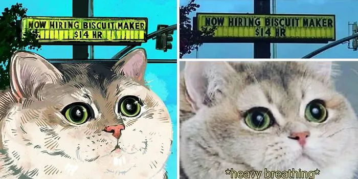 32 Of The Funniest Internet-Famous Cat Pics Get Illustrated By Catwheezie (New Pics)