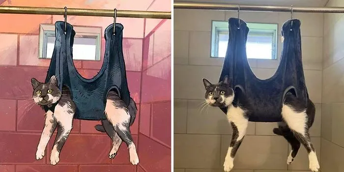 32 Of The Funniest Internet-Famous Cat Pics Get Illustrated By Catwheezie (New Pics)