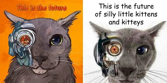32 Of The Funniest Internet-Famous Cat Pics Get Illustrated By Catwheezie (New Pics)