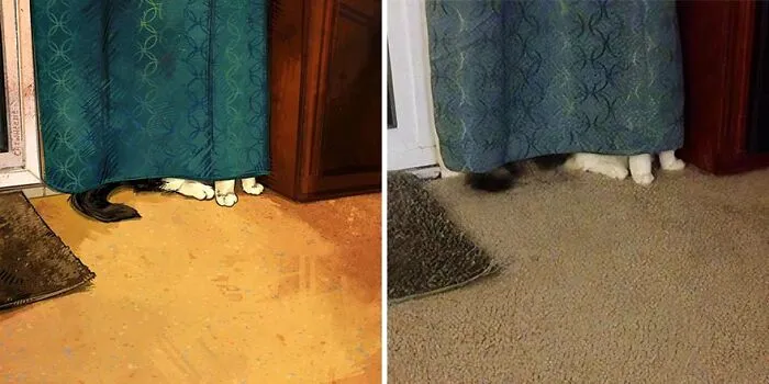 32 Of The Funniest Internet-Famous Cat Pics Get Illustrated By Catwheezie (New Pics)