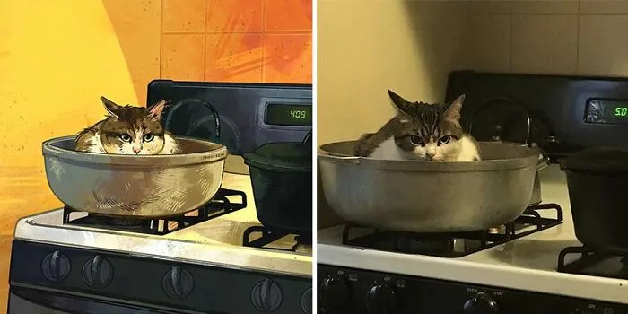 32 Of The Funniest Internet-Famous Cat Pics Get Illustrated By Catwheezie (New Pics)