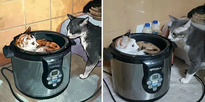32 Of The Funniest Internet-Famous Cat Pics Get Illustrated By Catwheezie (New Pics)