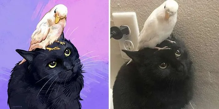 32 Of The Funniest Internet-Famous Cat Pics Get Illustrated By Catwheezie (New Pics)