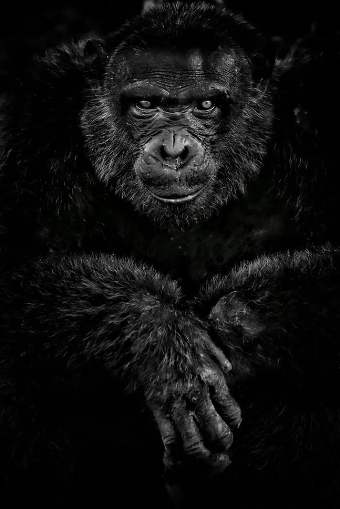 The Art Of Monochrome, Special Mention: Quim Fàbregas Elias, Spain
