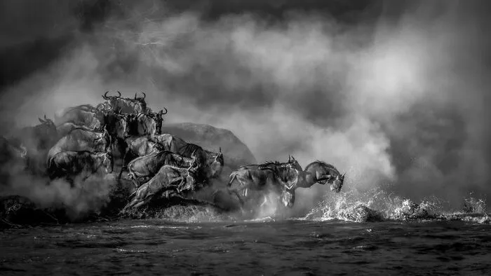 The Art Of Monochrome, Special Mention: Artur Stankiewicz, Poland