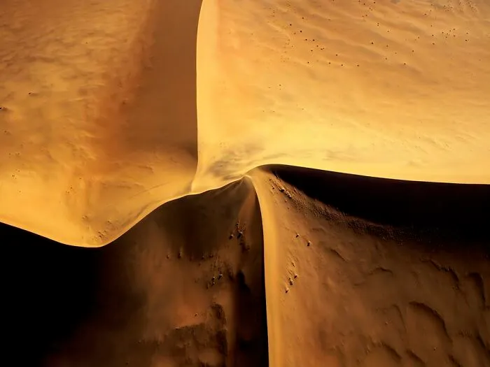 Deserts To Rainforests, Winner: Jaroslav Hora, Czech Republic
