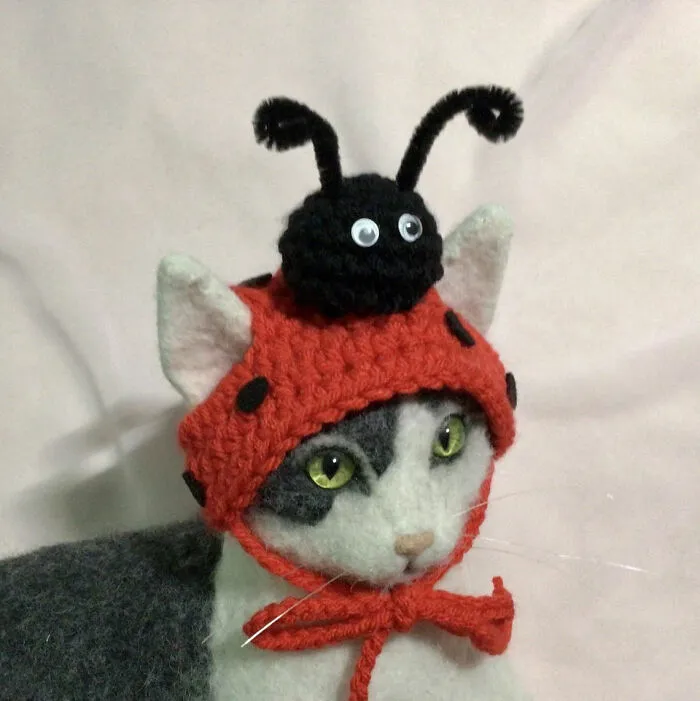 Ladybug
