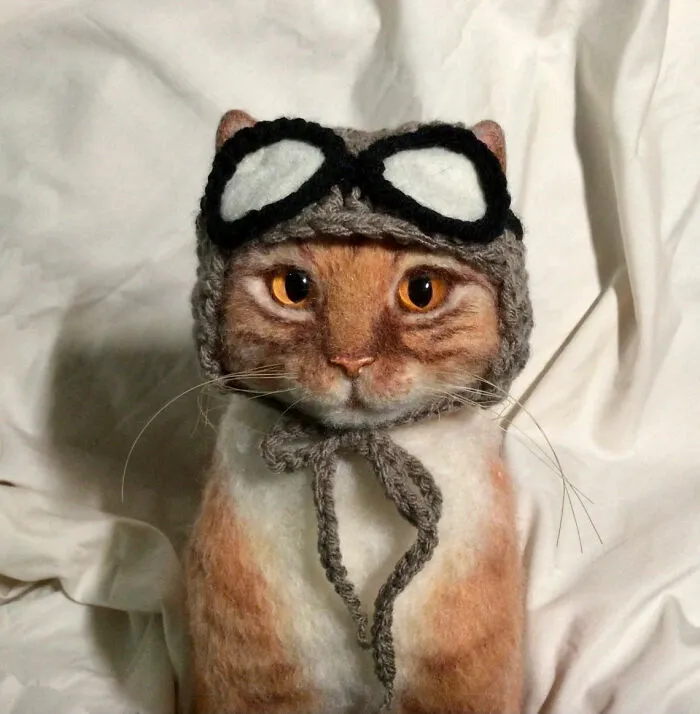 Aviator