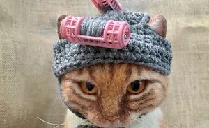 Cat Hats For Every Occasion: This Artist Crochets Funky Hats For Cats, And Here Are Her Best 30 Works
