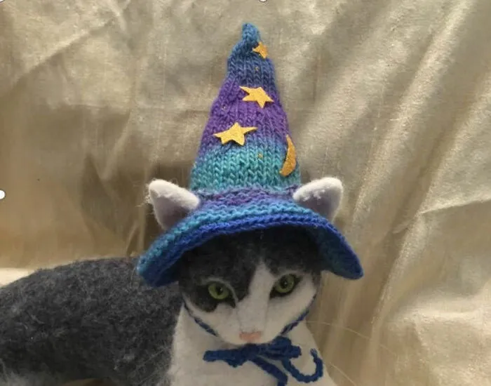 Wizard