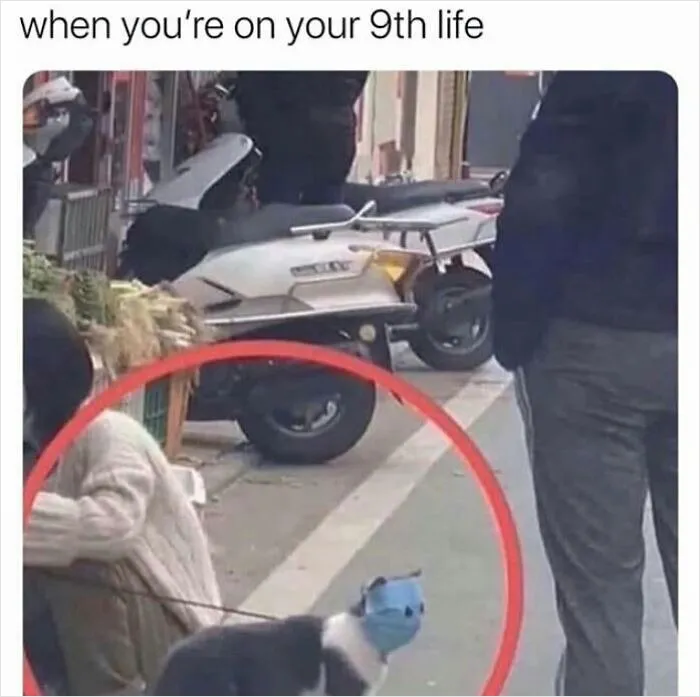 Another One For Yall
