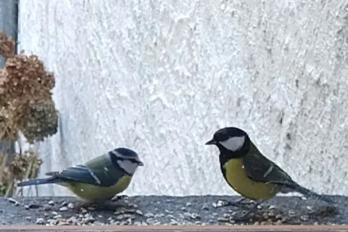 2 Friends