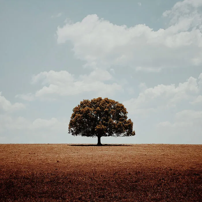 Photographer Of The Year Winner: There By Glenn Homann