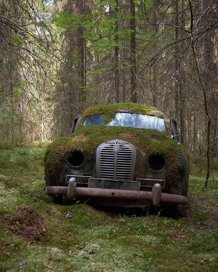 Coche musgoso en el bosque, Finlandia