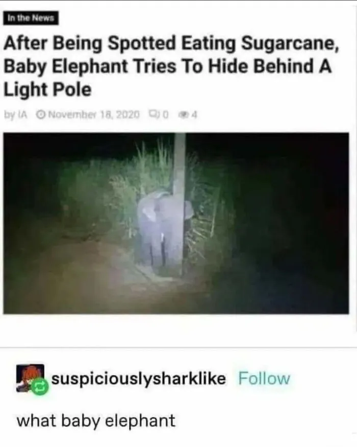 Absolutely Chaotic Memes From The “Absurd Posting” Page That May Leave You Questioning Things (50 Posts)