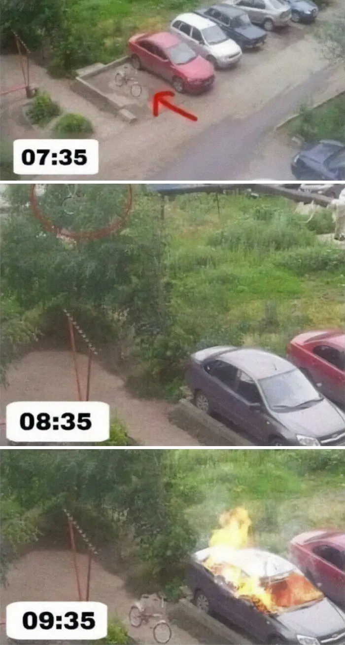 30 Memes tan absurdos como caóticos que te harán cuestionarte muchas cosas