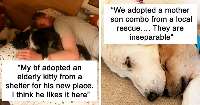 50 Heartwarming Pics Of Pets That Found Their New Home (March Edition)