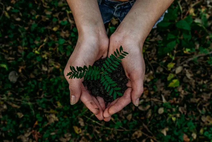 36 April Fun Facts To Celebrate Nature Awakening