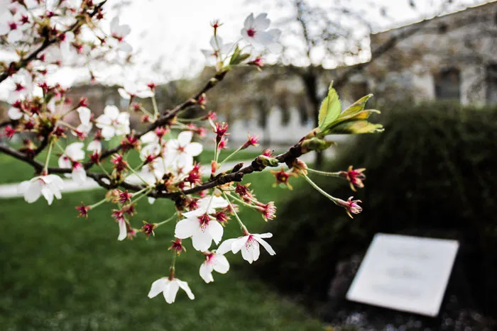 36 April Fun Facts To Celebrate Nature Awakening