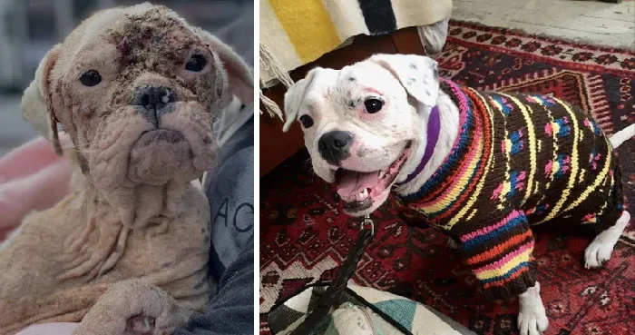 Did We Give My Bebe Her Best Life? You Gosh Darn Right We Did!! We’re Still Working Through Her Issues But Her Indomitable Spirit Keeps Us Going. She’s My Role Model! Three Cheers For Qtip
