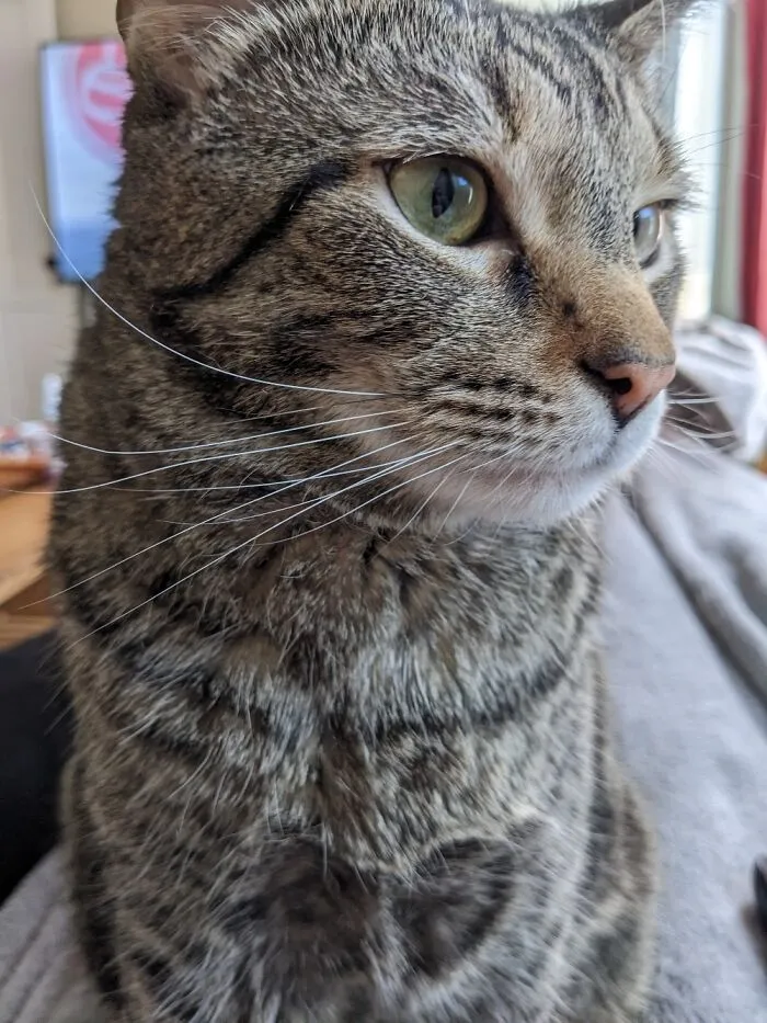 Handsome Boy