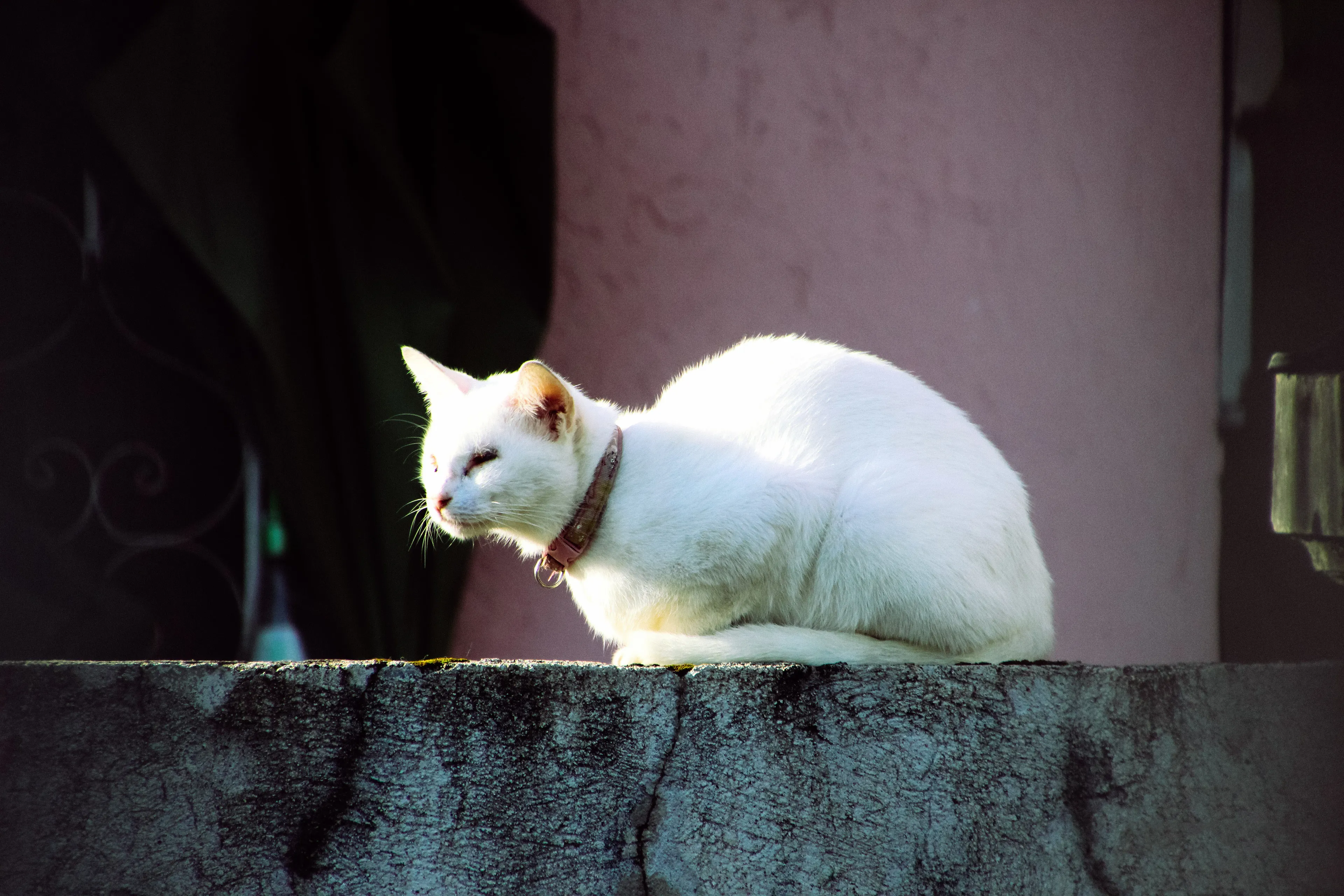 Just Chillin'