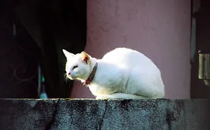 Just Chillin'