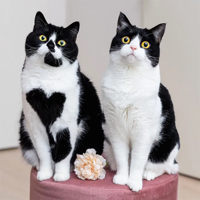 Happy Zoë Day From Both Of Us