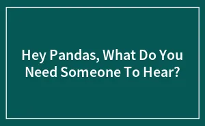 Hey Pandas, What Do You Need Someone To Hear? (Closed)