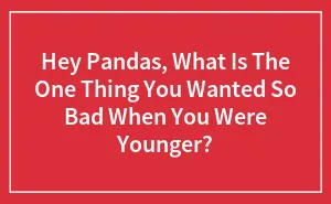 Hey Pandas, What Is The One Thing You Wanted So Bad When You Were Younger? (Closed)