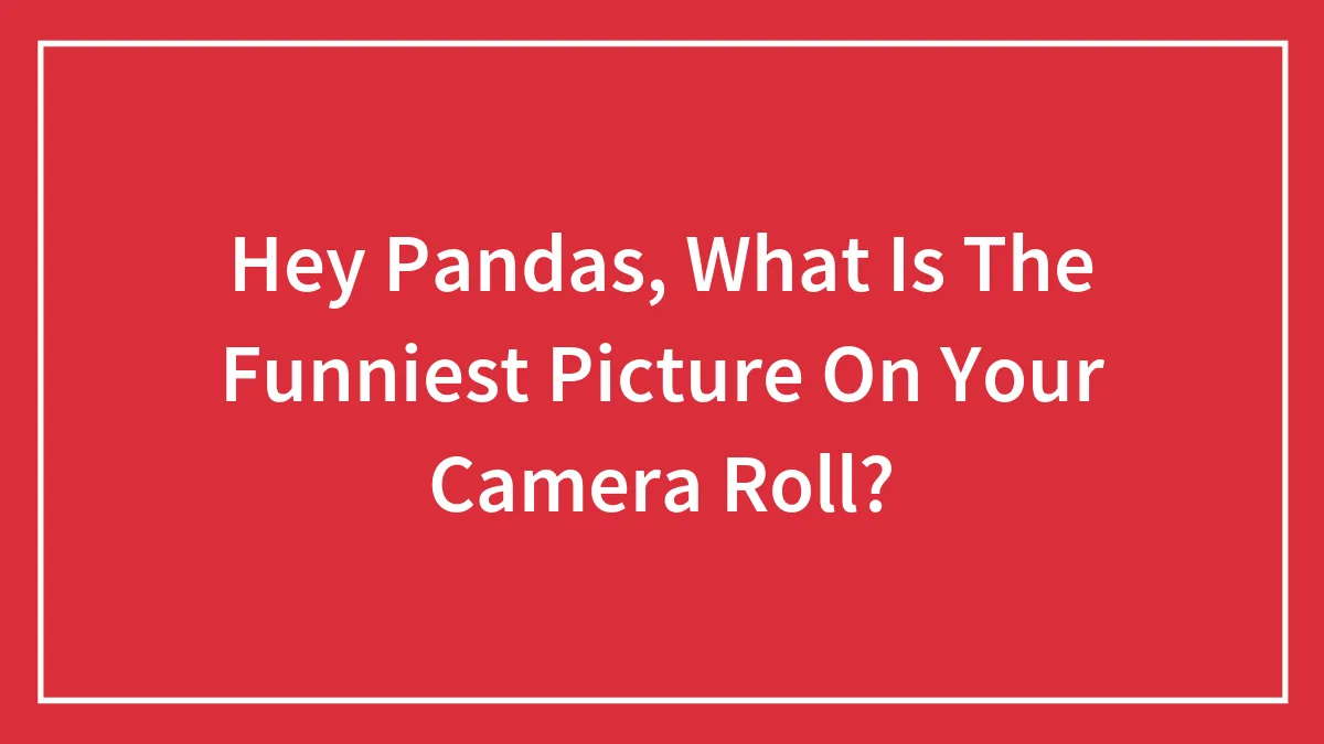 Hey Pandas, What Is The Funniest Picture On Your Camera Roll?